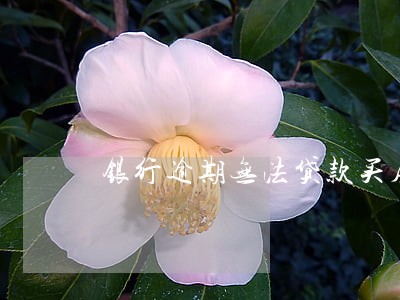 银行逾期无法贷款买房吗 银行逾期无法贷款买房吗