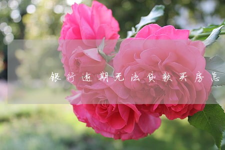 银行逾期无法贷款买房怎么办 银行逾期无法贷款买房怎么办
