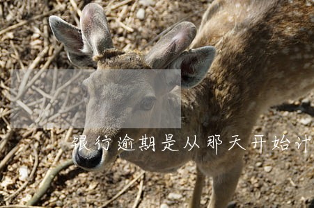 银行逾期是从那天开始计算 银行逾期是从那天开始计算