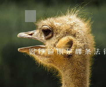 银行逾期是哪条法律 银行逾期是哪条法律
