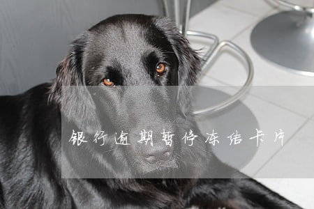银行逾期暂停冻结卡片 银行逾期暂停冻结卡片
