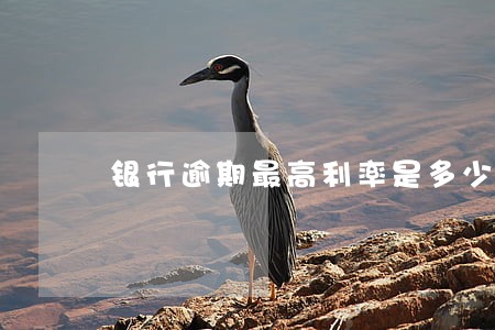 银行逾期最高利率是多少 银行逾期最高利率是多少
