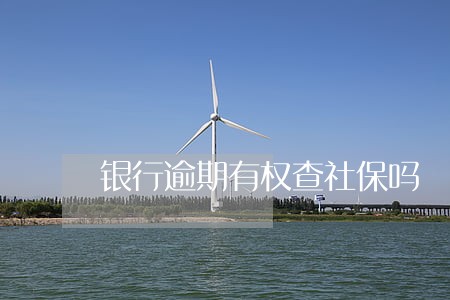 银行逾期有权查社保吗 银行逾期有权查社保吗