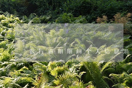 银行逾期期间个人信息泄露 银行逾期期间个人信息泄露