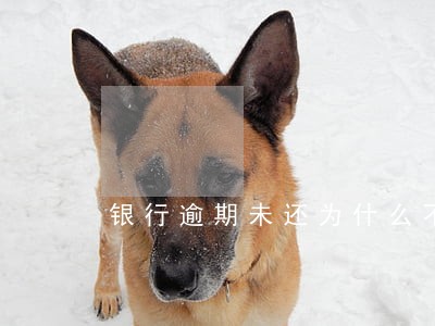 银行逾期未还为什么不追究了