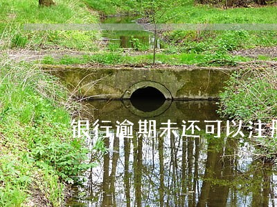 银行逾期未还可以注册公司吗