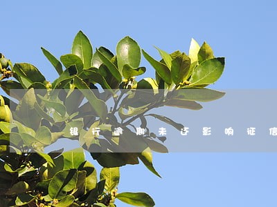 银行逾期未还影响征信如何消除 银行逾期未还影响征信如何消除