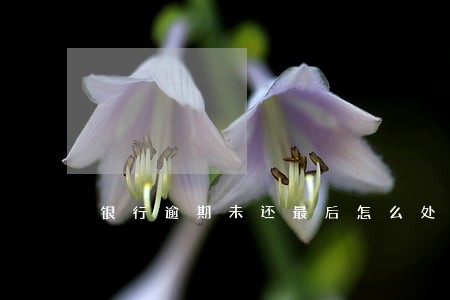银行逾期未还最后怎么处理 银行逾期未还最后怎么处理