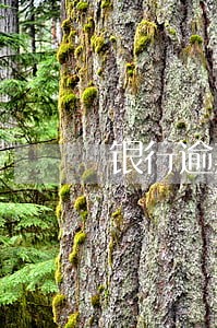 银行逾期未还还能贷款吗 银行逾期未还还能贷款吗