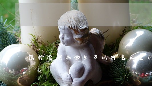 银行逾期本金5万以内怎么量刑 银行逾期本金5万以内怎么量刑