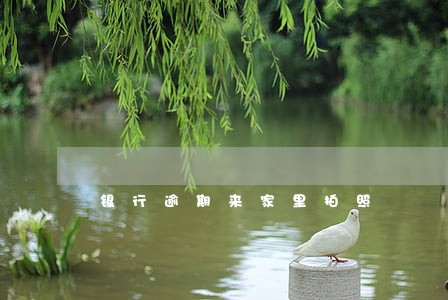 银行逾期来家里拍照 银行逾期来家里拍照