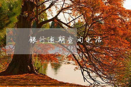 银行逾期查询电话 银行逾期查询电话