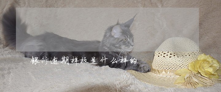 银行逾期样板是什么样的 银行逾期样板是什么样的
