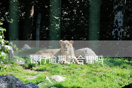 银行逾期款合理吗 银行逾期款合理吗
