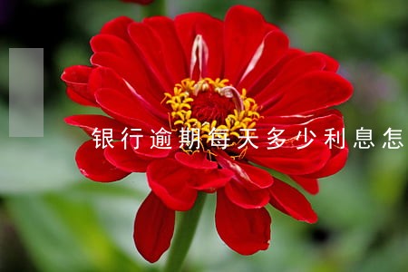银行逾期每天多少利息怎么算 银行逾期每天多少利息怎么算