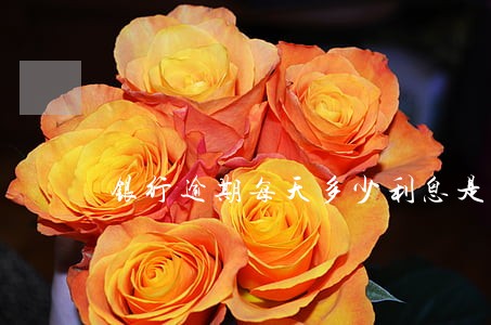 银行逾期每天多少利息是多少 银行逾期每天多少利息是多少