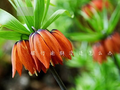 银行逾期没还怎么办 银行逾期没还怎么办