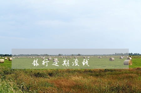 银行逾期没钱 银行逾期没钱
