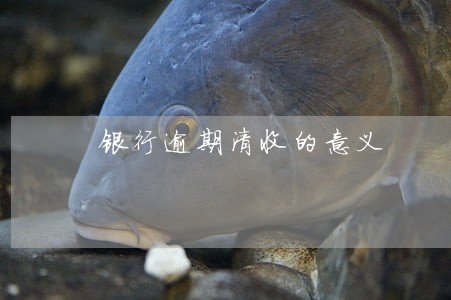 银行逾期清收的意义