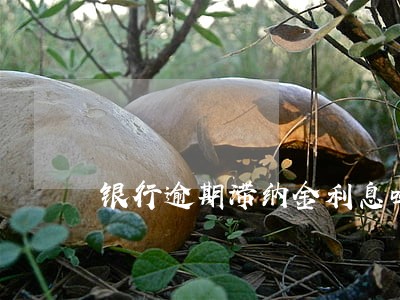 银行逾期滞纳金利息吗 银行逾期滞纳金利息吗