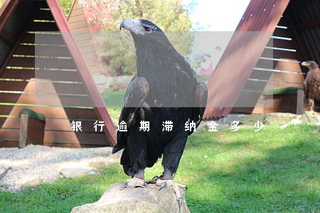 银行逾期滞纳金多少 银行逾期滞纳金多少
