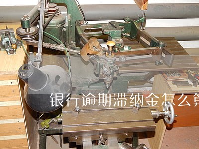 银行逾期滞纳金怎么算一月一算吗 银行逾期滞纳金怎么算一月一算吗