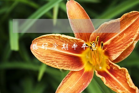 银行逾期率本息