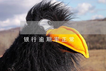 银行逾期率正常 银行逾期率正常