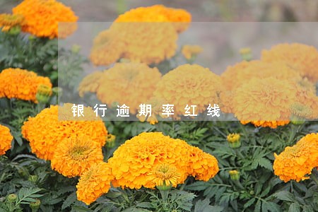 银行逾期率红线