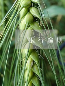 银行逾期电话怎么打到我这里 银行逾期电话怎么打到我这里