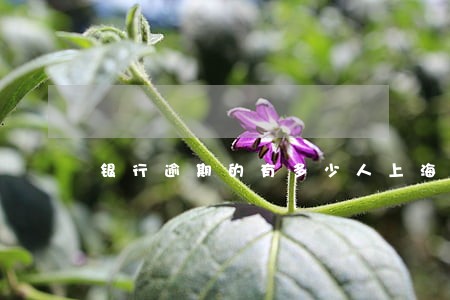 银行逾期的有多少人上海 银行逾期的有多少人上海
