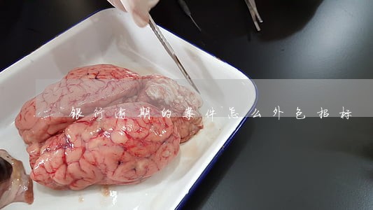 银行逾期的案件怎么外包招标