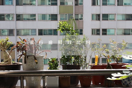 银行逾期的比例 银行逾期的比例