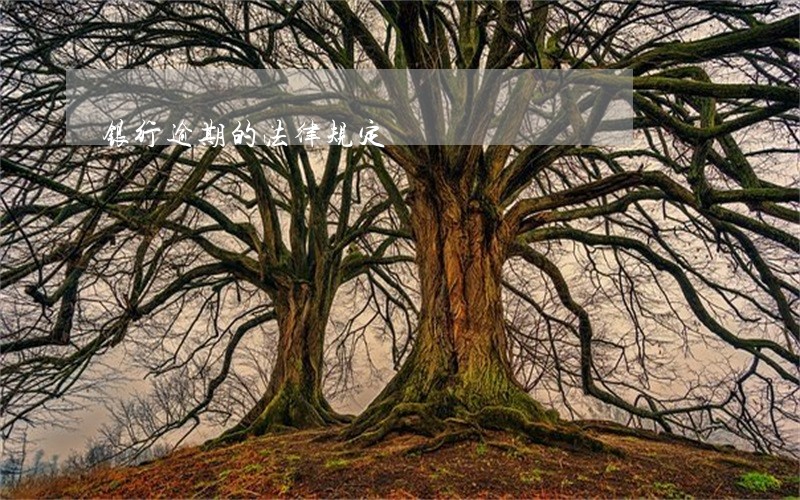 银行逾期的法律规定 银行逾期的法律规定
