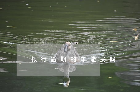 银行逾期的车能买吗 银行逾期的车能买吗
