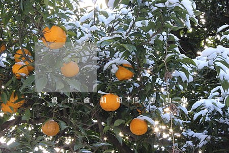 银行逾期短信通知申请开庭 银行逾期短信通知申请开庭