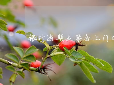 银行逾期立案会上门吗 银行逾期立案会上门吗