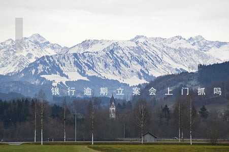 银行逾期立案会上门抓吗 银行逾期立案会上门抓吗