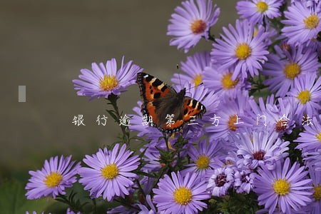 银行逾期第三方上门合法吗 银行逾期第三方上门合法吗