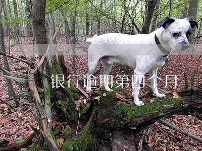 银行逾期第四个月 银行逾期第四个月