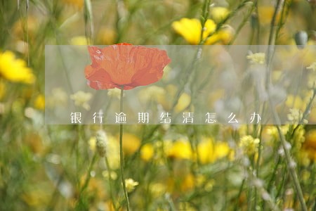 银行逾期结清怎么办 银行逾期结清怎么办