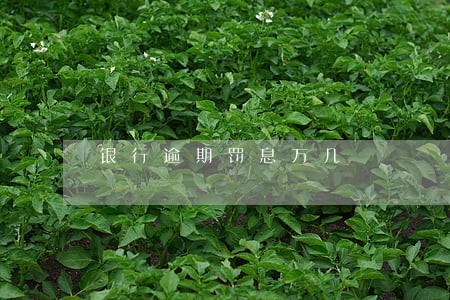 银行逾期罚息万几 银行逾期罚息万几