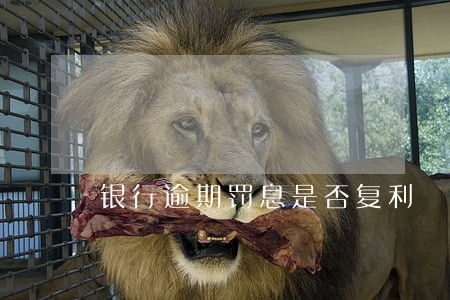 银行逾期罚息是否复利 银行逾期罚息是否复利