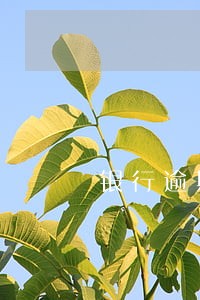 银行逾期罚息调整应纳税所得额 银行逾期罚息调整应纳税所得额