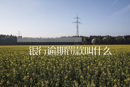 银行逾期罚款叫什么