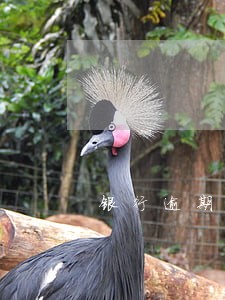 银行逾期罚款支出 银行逾期罚款支出