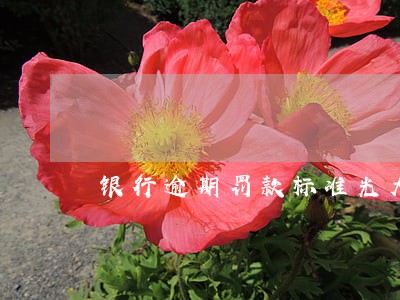 银行逾期罚款标准光大 银行逾期罚款标准光大