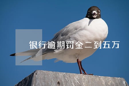 银行逾期罚金二到五万 银行逾期罚金二到五万