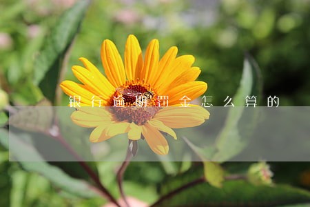银行逾期罚金怎么算的 银行逾期罚金怎么算的