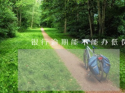 银行逾期能不能办低保 银行逾期能不能办低保